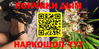 индика Краснознаменск
