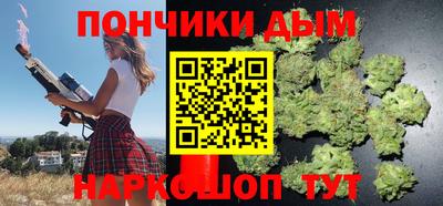 индика Краснознаменск
