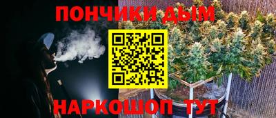 индика Краснознаменск